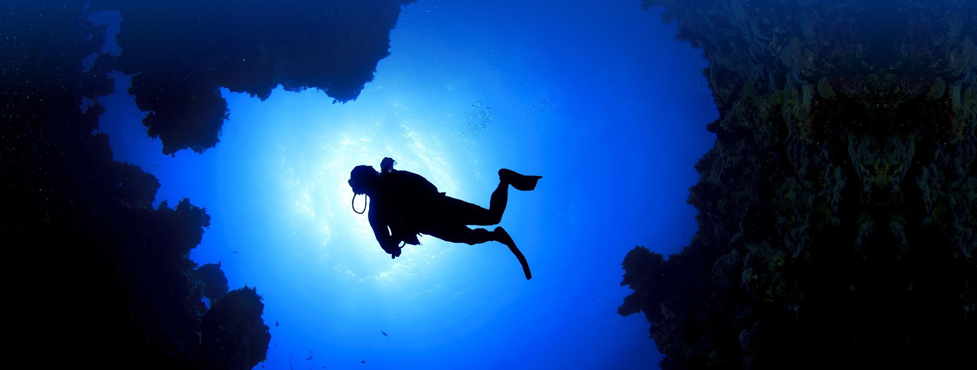 Diving Deep into Neuroscience